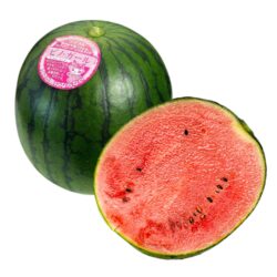 Japanese Pino Girl Watermelon