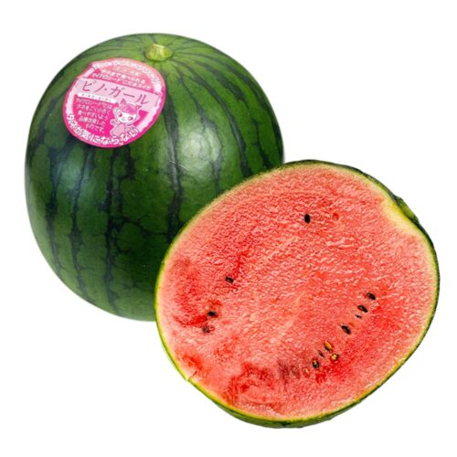 Japanese Pino Girl Watermelon Japanese Pino Girl Watermelon