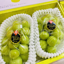 Japanese Shimane Shine Muscat Grapes Gift Box (1kg) 2 Japanese Shimane Shine Muscat Grapes Gift Box (1kg) 2