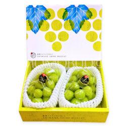 Japanese Shimane Shine Muscat Grapes Gift Box (1kg)