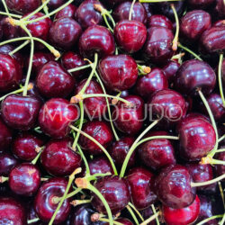 Oregon Hood River Cherry Sweetheart Red Cherries Oregon Hood River Cherry Sweetheart Red Cherries