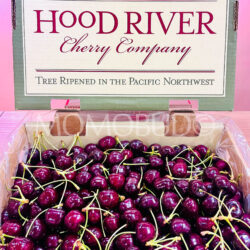 Oregon Hood River Cherry Sweetheart Red Cherry Box (5kg)