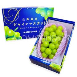 Premium Japanese Yamanashi Shine Muscat Grapes Gift Box (700g)
