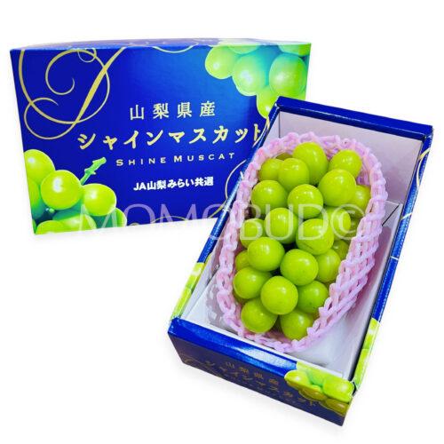 Premium Japanese Yamanashi Shine Muscat Grapes Gift Box (700g)