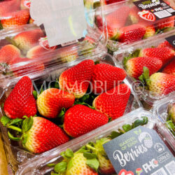 South African Fronteras Strawberries