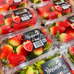South African Fronteras Strawberry (250g punnets)