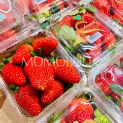 Australian Amore Strawberries