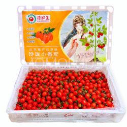 China Linglong Cherry Tomato Box (3kg)