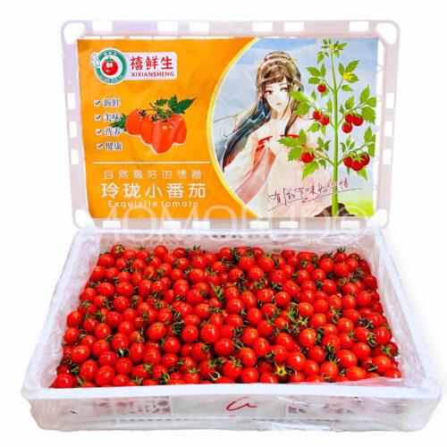 China Linglong Cherry Tomato Box (3kg)