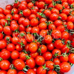 China Linglong Cherry Tomatoes