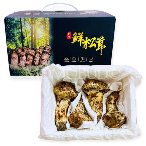 China Matsutake Mushroom Gift Box (500g)