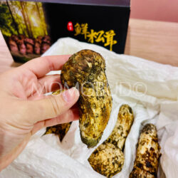 China Matsutake Mushroom (Medium) China Matsutake Mushroom (Medium)