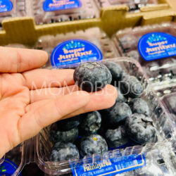 Family Tree Farms Peru Super Jumboz Blueberry 1