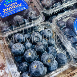 Family Tree Farms Peru Super Jumboz Blueberry (125g punnets)