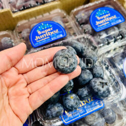 Family Tree Farms Peru Super Jumboz Blueberry