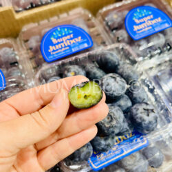 Family Tree Farms Peru Super Jumboz Blueberry cross section