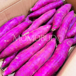 Japanese Beni Yuuka Yellow Satsumaimo (Sweet Potatoes)