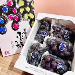 Japanese Okayama Aurora Black Grapes Box (2kg) 1