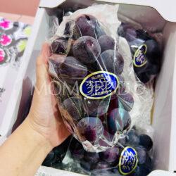 Japanese Okayama Aurora Black Grapes pack (450-500g)