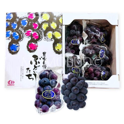 Japanese Okayama Aurora Black Grapes Box (2kg)