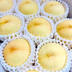 Japanese Okayama Megumihaku White Peaches