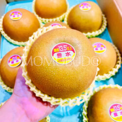 Japanese Premium Grade Housui Pear (13.5% Brix High Sweetness) 1 Japanese Premium Grade Housui Pear (13.5% Brix High Sweetness) 1