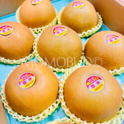 Japanese Premium Grade Housui Pears (13.5% Brix High Sweetness) Japanese Premium Grade Housui Pears (13.5% Brix High Sweetness)