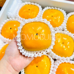 Japanese Premium Wakayama Seedless Persimmon