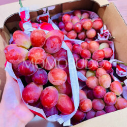 Japanese Sunshine Red Seedless Grapes