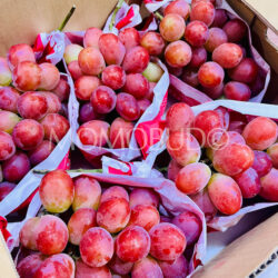 Japanese Sunshine Red Seedless Grapes 3kg box