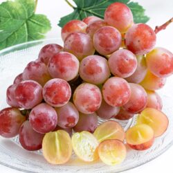 Japanese Yamanashi Sunshine Red Seedless Grapes cross section Japanese Yamanashi Sunshine Red Seedless Grapes cross section
