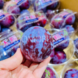 Japanese Yamanashi Taiyo Plum