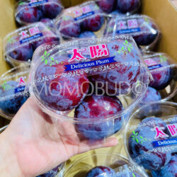 Japanese Yamanashi Taiyo Plum (420g bowl)