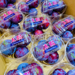 Japanese Yamanashi Taiyo Plum (420g bowls)