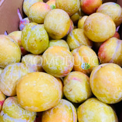 USA Jumbo October Sun Plums