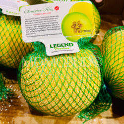 USA Summer Kiss Melons