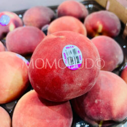 USA Summeripe Mia Snow White Peach