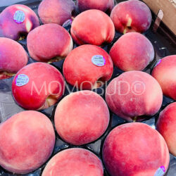 USA Summeripe Mia Snow White Peaches