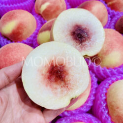 China Honey White Peach cross section China Honey White Peach cross section