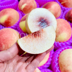China Honey White Peach slice China Honey White Peach slice