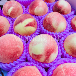 China Honey White Peaches China Honey White Peaches