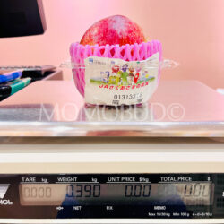 Japanese Shinano Pearl Plum 390g 1