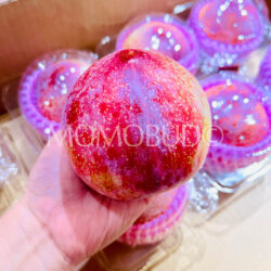 Japanese Shinano Pearl Plum 390g on hand
