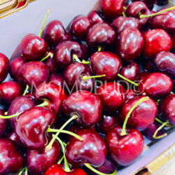 Australian Cherry Bird Santina Red Cherries