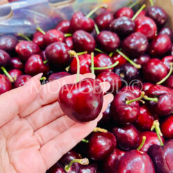 Chilean Kawana Santina Red Cherry (2.5kg, 4J size) Chilean Kawana Santina Red Cherry (2.5kg, 4J size)