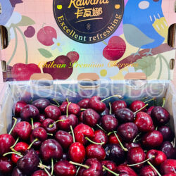 Chilean Kawana Santina Red Cherry Gift Box (2.5kg, 4J size) Chilean Kawana Santina Red Cherry Gift Box (2.5kg, 4J size)