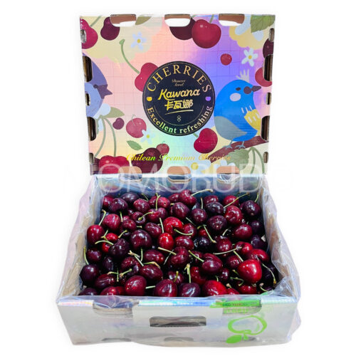 Chilean Kawana Santina Red Cherry Gift Box (2.5kg, 4J size) Chilean Kawana Santina Red Cherry Gift Box (2.5kg, 4J size)
