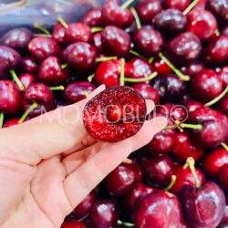 Chilean Kawana Santina Red Cherry cross section (2.5kg, 4J size) Chilean Kawana Santina Red Cherry cross section (2.5kg, 4J size)