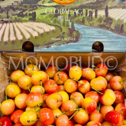 Chilean Santa Cruz O’Higgins Rainier Cherries