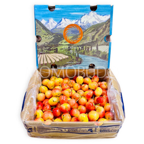 Chilean Santa Cruz O'Higgins Rainier Cherry Gift Box (2.2kg, 5J)